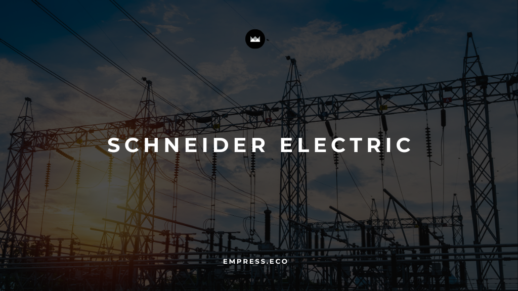 How Schneider Electric Thrives Through Change—And What You Can Learn From It